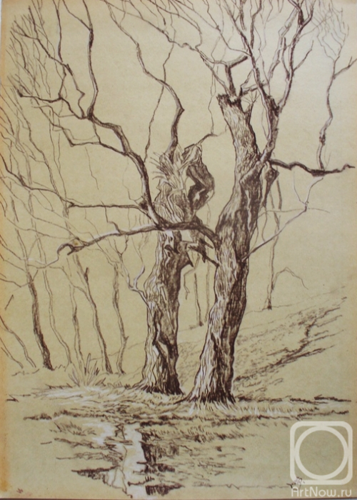 �������. ������� ���������. ��������