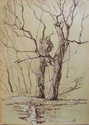 ��������. ������� ���������