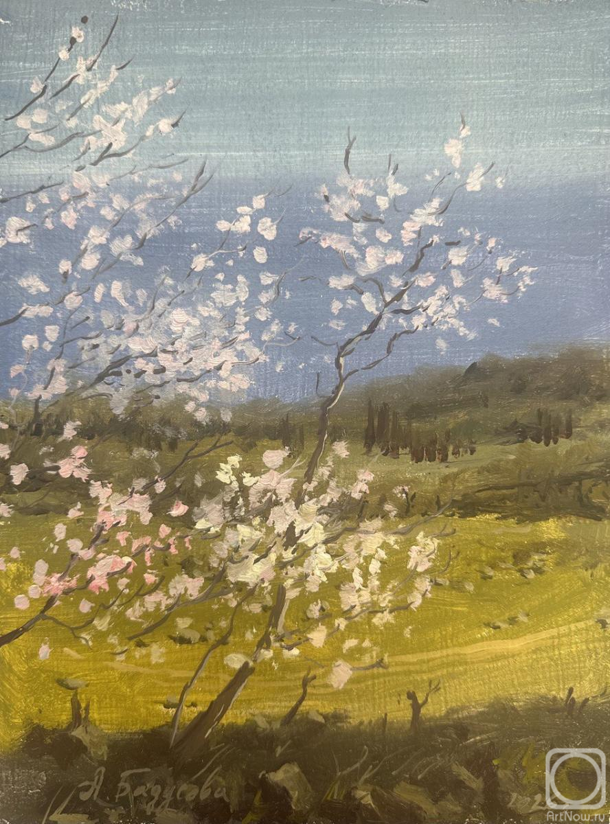 �������. �������� �����. ���������� �����