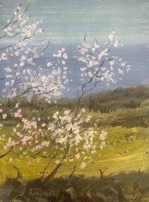 ���������� �����. �������� �����