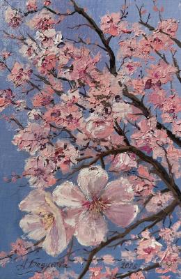 �������� �����. �������� �����