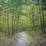 ���������� ������.<br>������� �������� �����