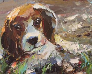 Little beagle on a walk. Rodries Jose