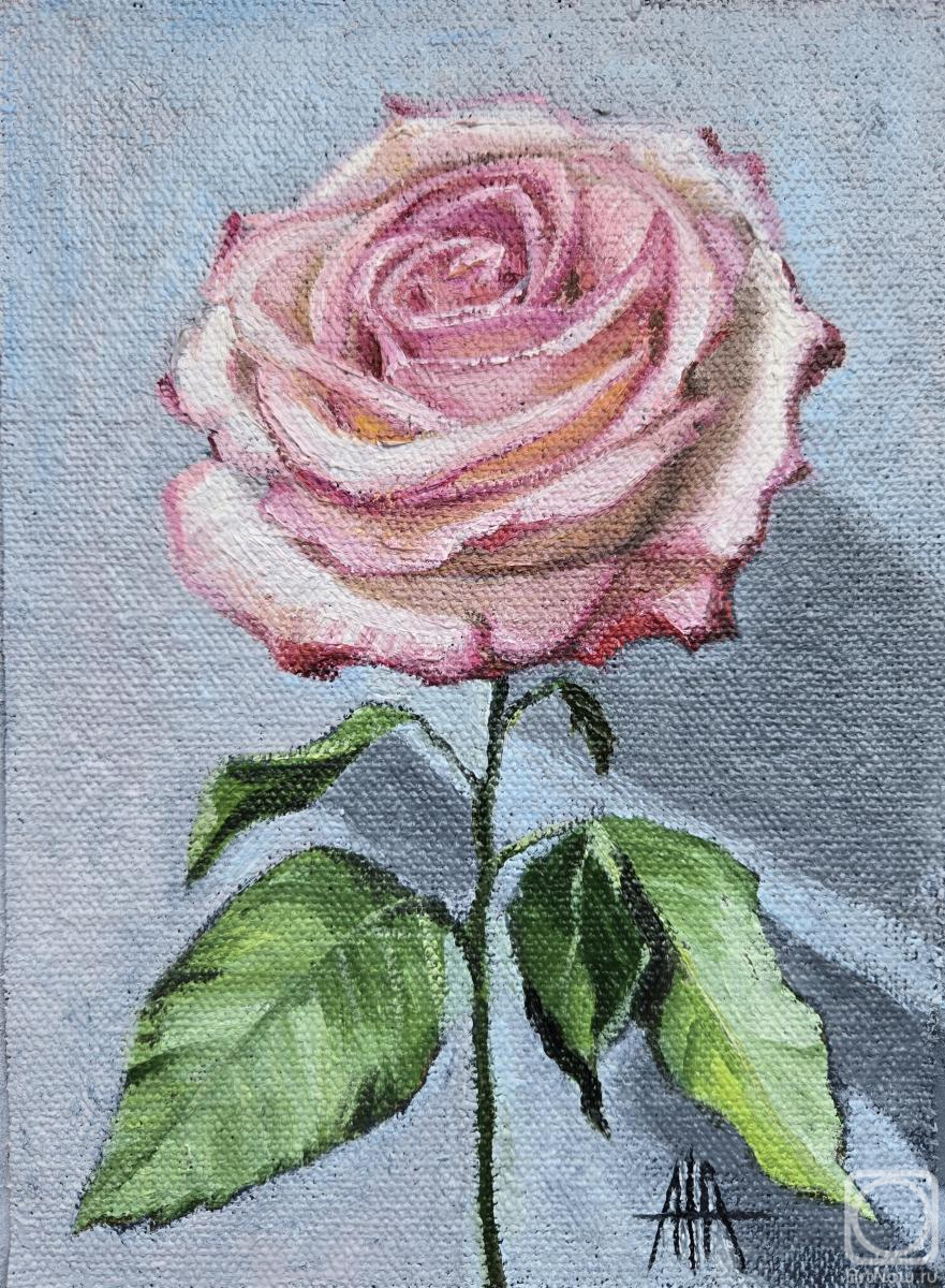 Boyko Anna. Untitled