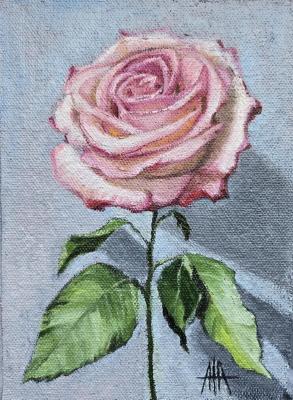 �������. ����� ����