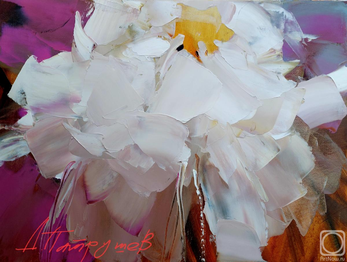 ������� ������ �� ������. �������� �������. �����-�����