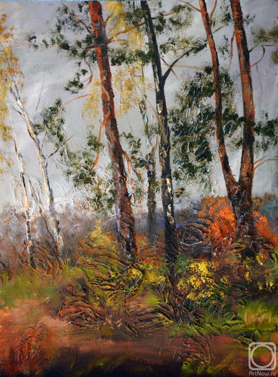 ������� ������ �� ������. �������� �����. ���� � ��������. �����