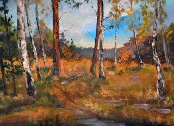 ����� �� �������� ������. ���� � ��������. �������� �����