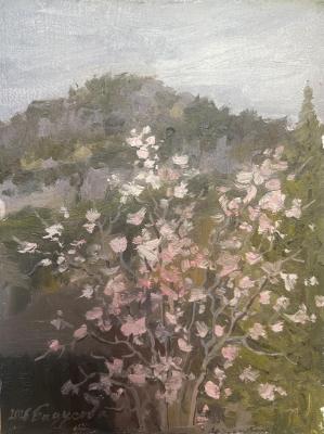 ������� ������� ������� ������