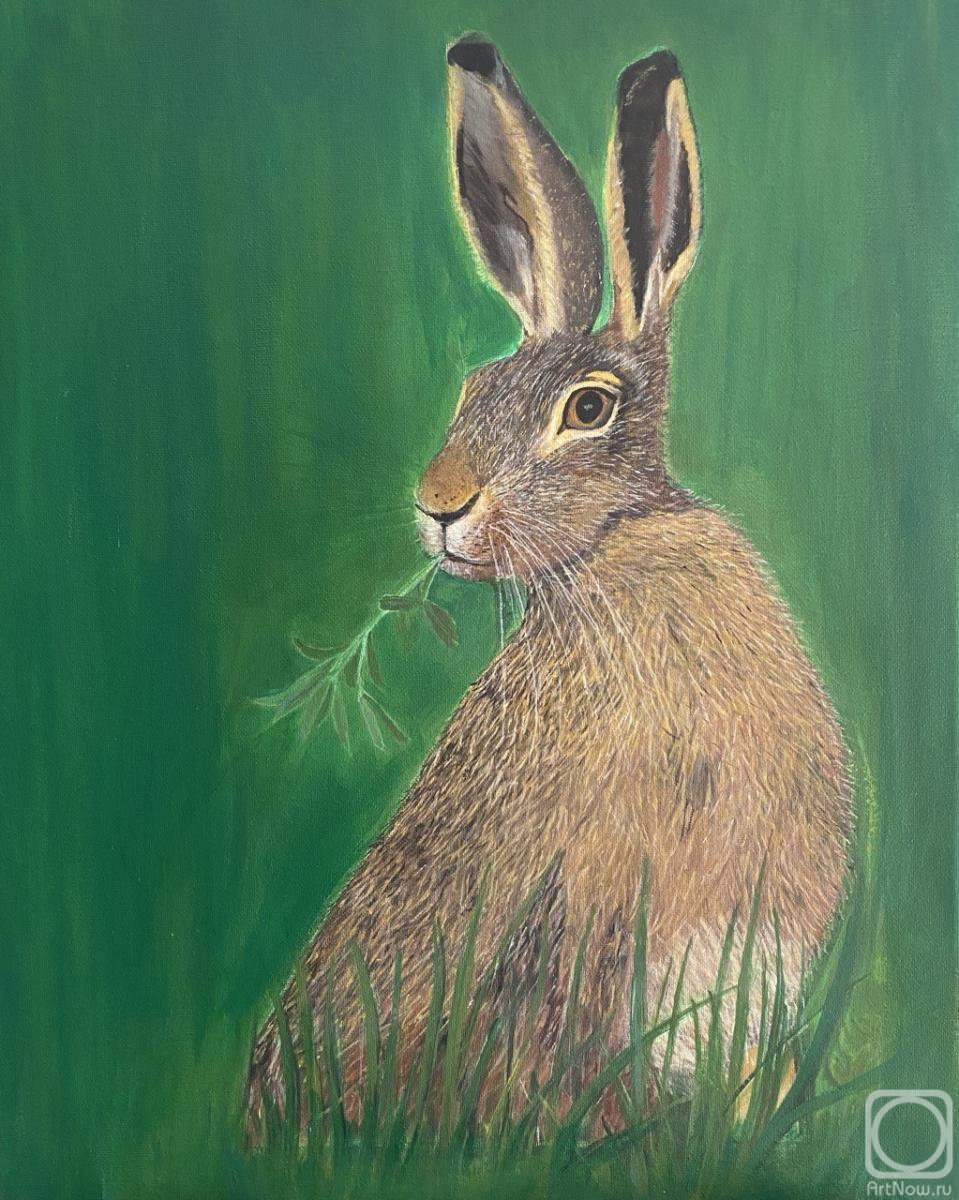 Shuvalova Nataliya. European hare