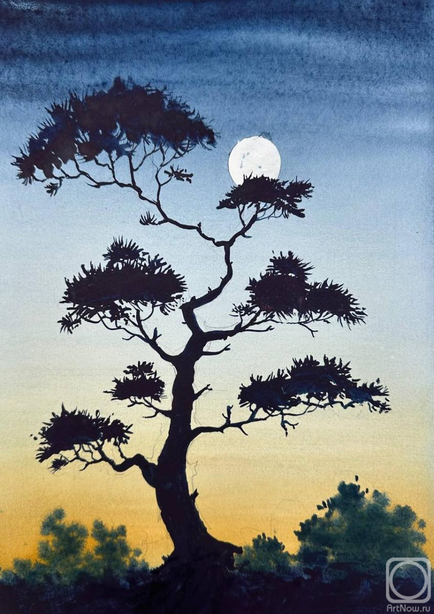 �������. �������� �����. ������� ����