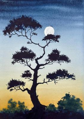 ������� �������� ����