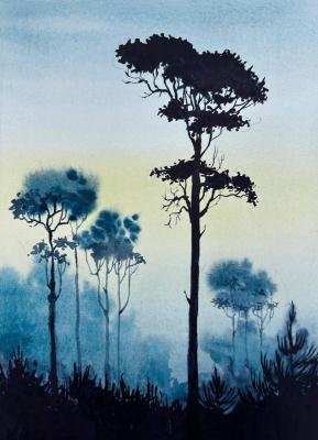 ������� ����. �������� �����