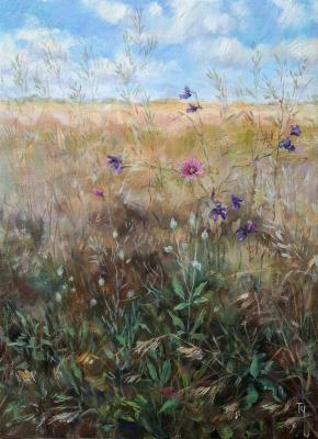 �� ���� ���� (�4). ��������� �������