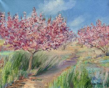 ���������� ���. ������-����� �����