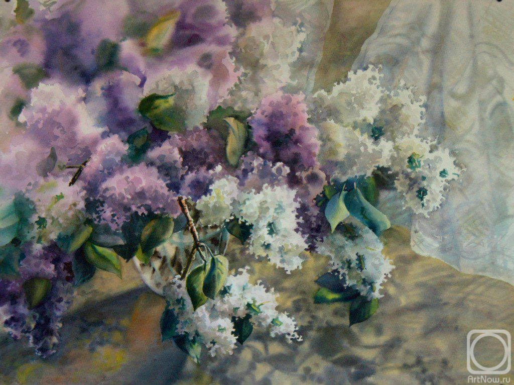 �������. ������ ����. ������ � ����