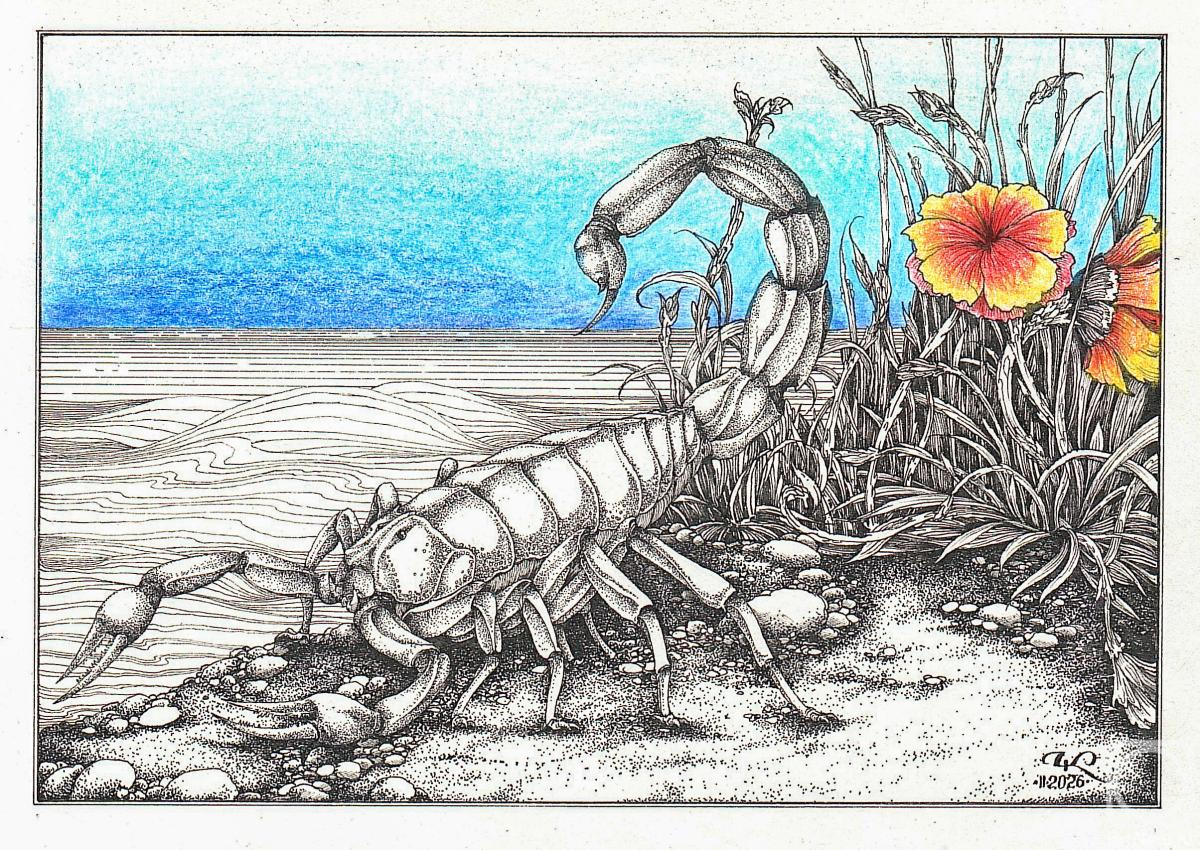 Chasovskih Kirill. Untitled