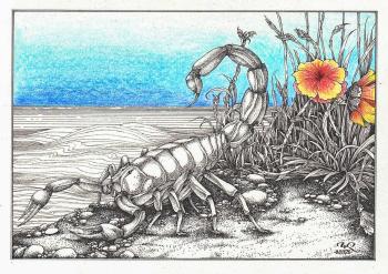 ��������. ��������� ������