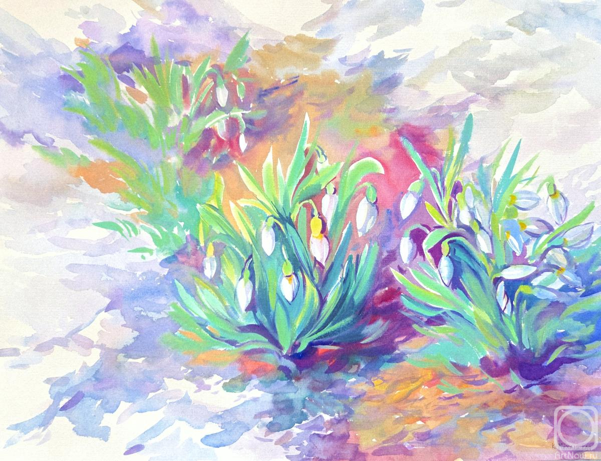 �������. ���������� ���������. �����������. �����