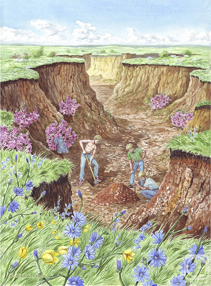 �������. ����� �������. ����������. �����. ���� ���������