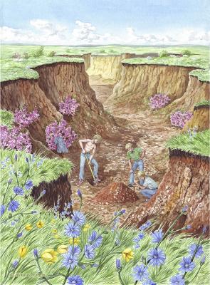 ����������. �����. ���� ���������. ����� �������