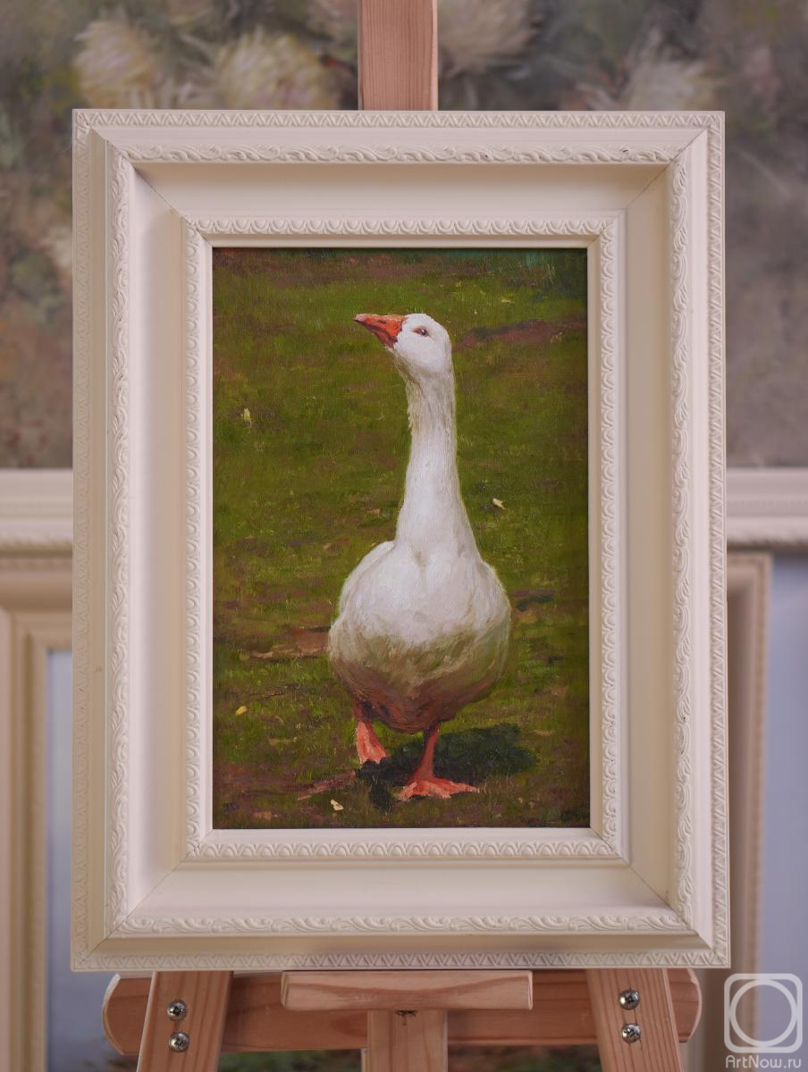 ������� ������ �� ������. ����� ����. ���� ��������