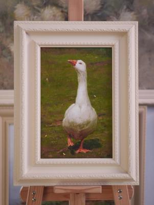 ���� ��������. ����� ����