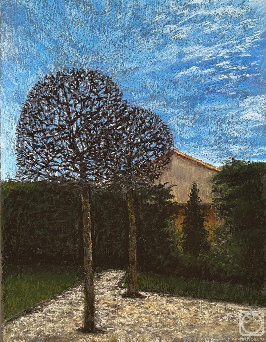 �������. �������� �������. ����� ������. ����� ������� ������