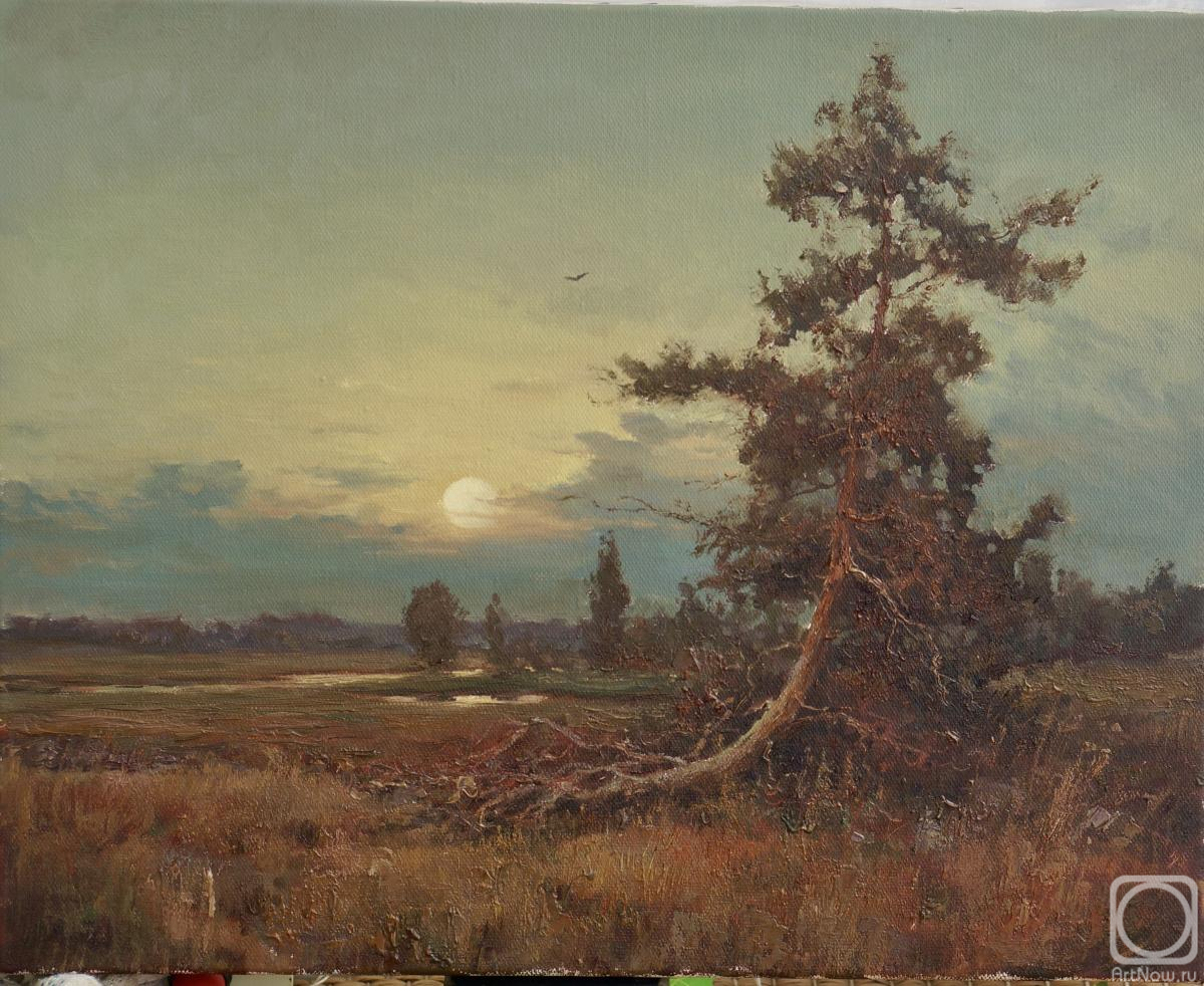 ������� ������ �� ������. ����� ����. ���������� ������