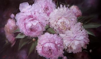 ����� �� ����� ����. ����� ����