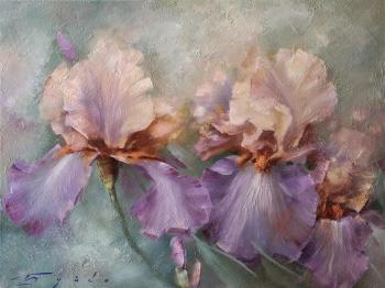 �����. ����� ����