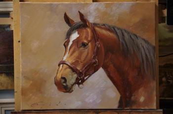 Untitled. Buiko Oleg