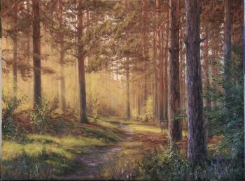 ������� ������ � �������� ����