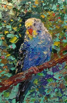 ����������. ����� �����