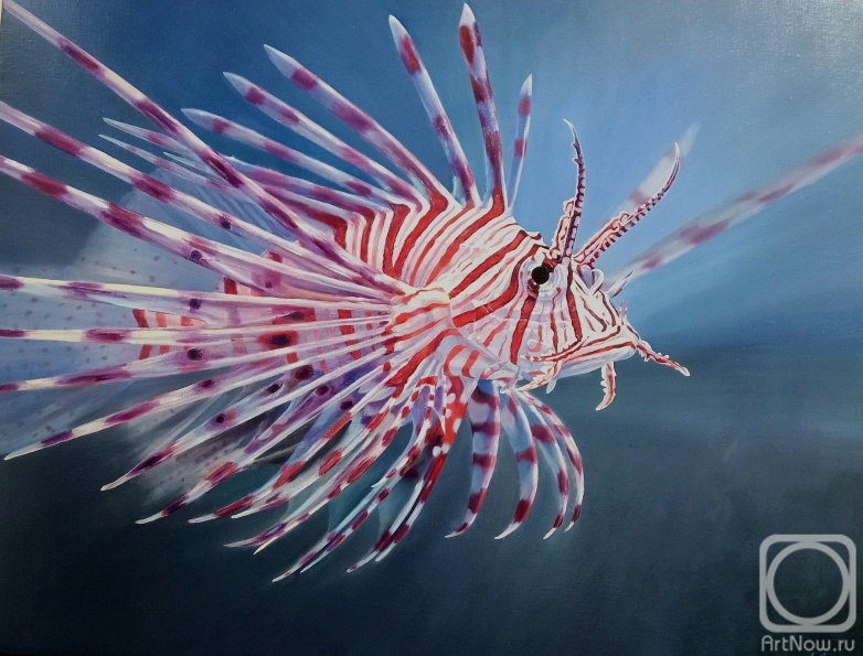 ������� ������ �� ������. ������� ������. ������� ��������