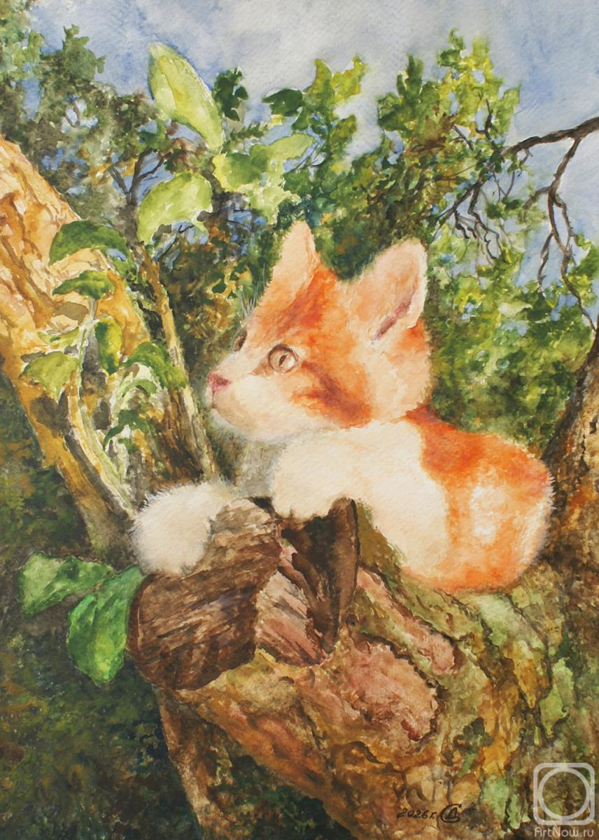 �������. �������� ������. ����� �������