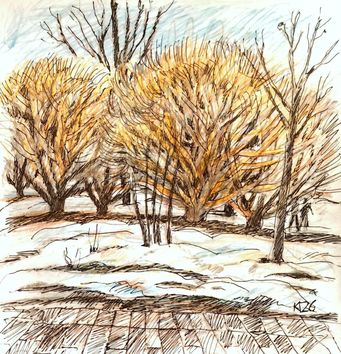 �������. �������� ������. 20 �����. �����. ���������