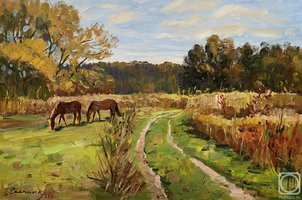 ������� ������ �� ������. ������� �����. ������� ����� � ����������