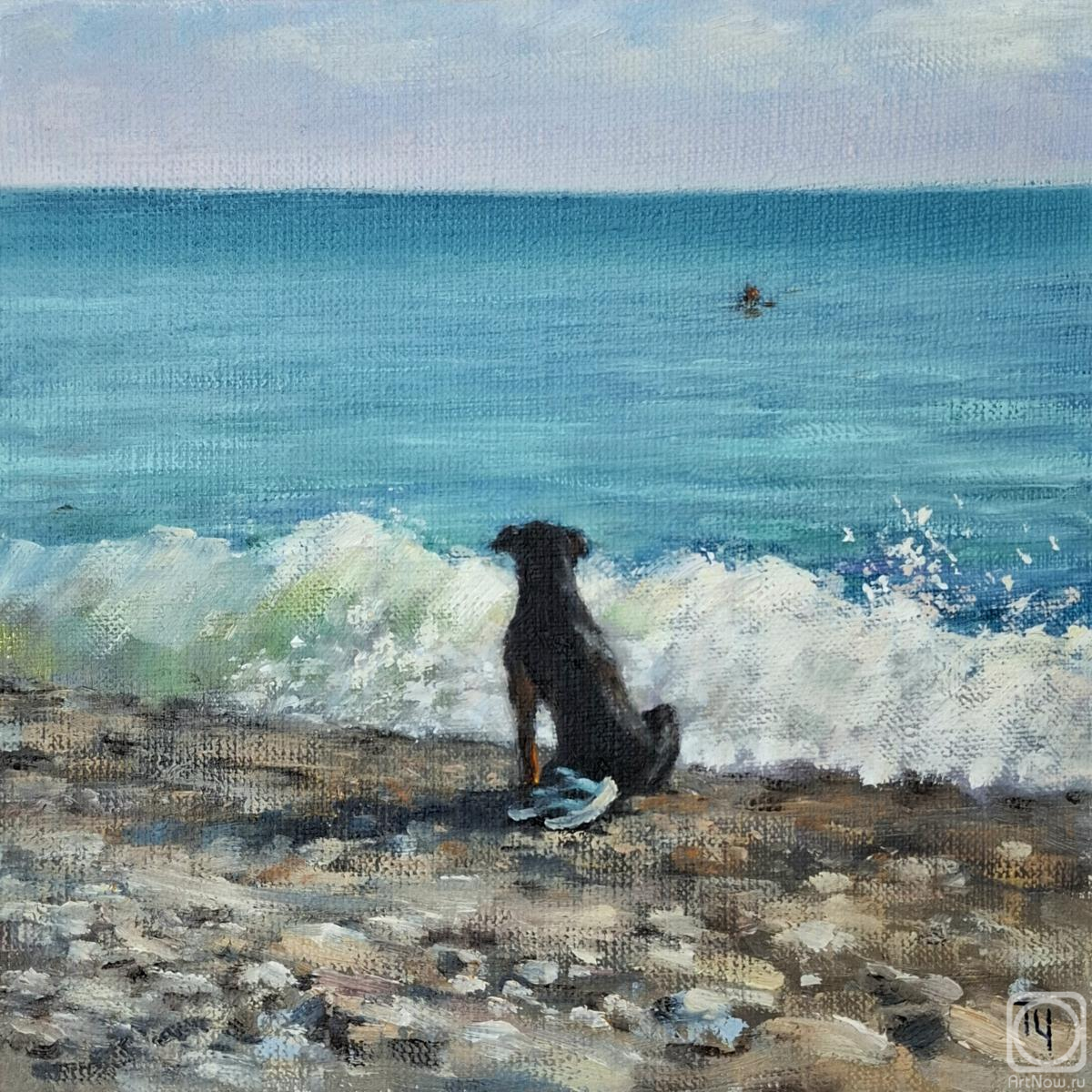 �������. ��������� �������. ��������� �����