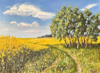 Untitled. Kirilina Nadezhda