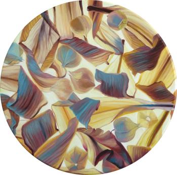 ����� ������ � �������. ���������� ���������