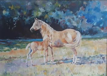 ����� �����������. ������� ���������