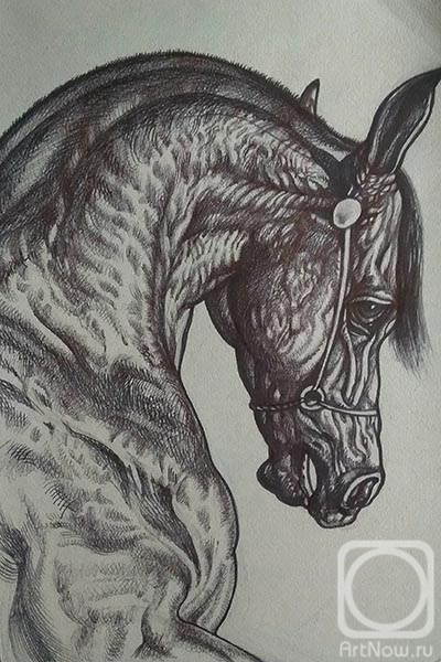 �������. ������� ������. ����