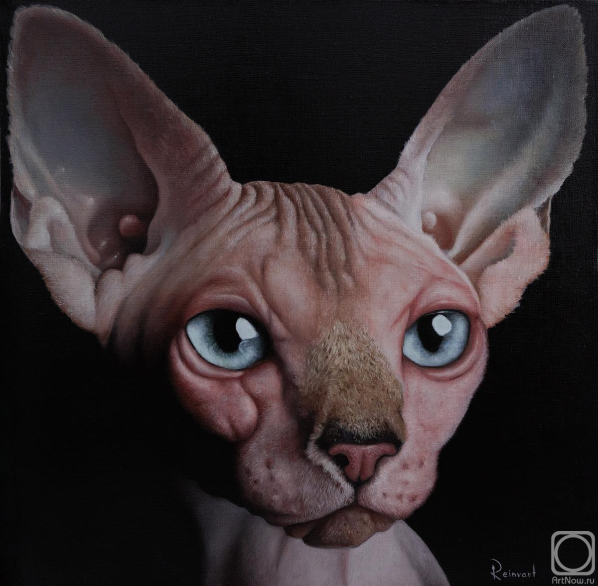 Reynvart Mihail. Untitled