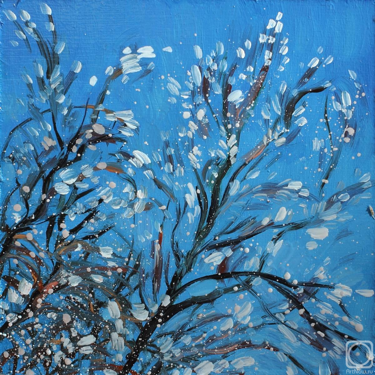 �������. Ը������-������ �������. �����