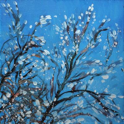 Willow. Fyodorova-Popova Tatyana