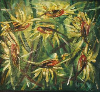 ������� �����������. ���������� �������