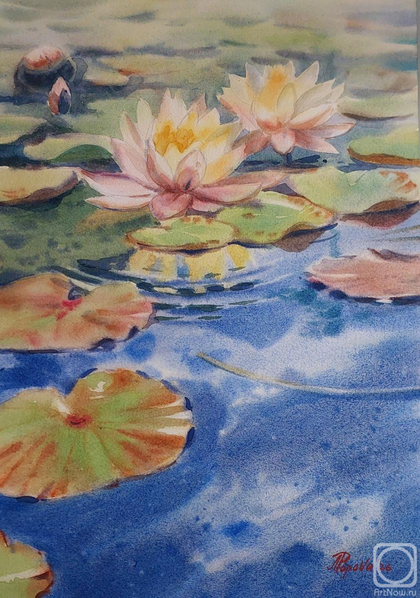 �������. ������ �������. ��������