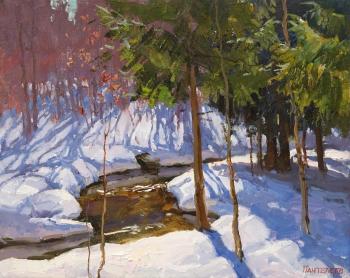 ����� ���������. ����. ��������� ������