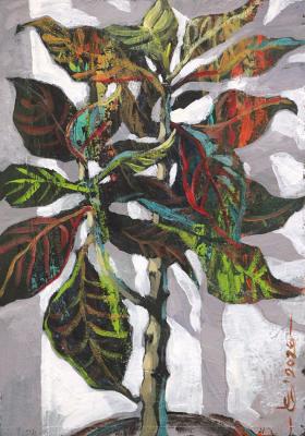 ������ � ����������. ������. 2026. ���� �����